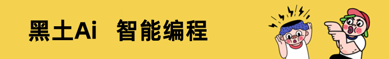 黑土Ai，智能编程大模型